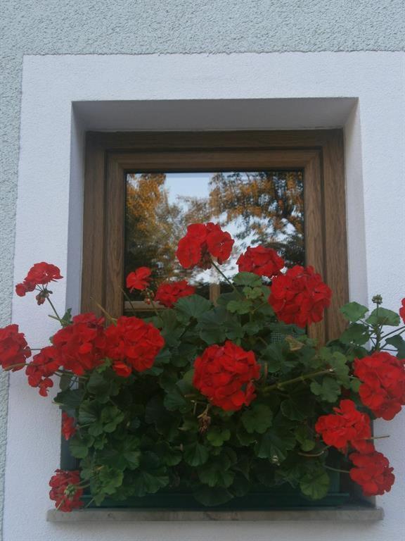 Haus Schober Apartment วินดิชการ์สเทิน ภายนอก รูปภาพ